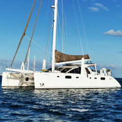 Nets for Catana 582 (pair)