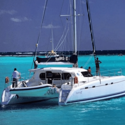 Red de trampolín -...