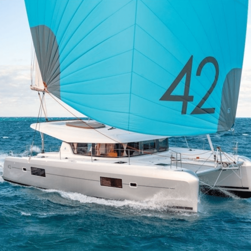 Red de trampolín - Lagoon 42